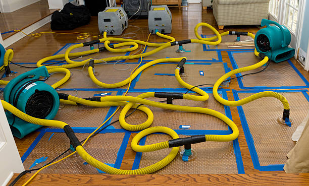 Professional Flood Damage Restoration technician working in Novelty, OH
